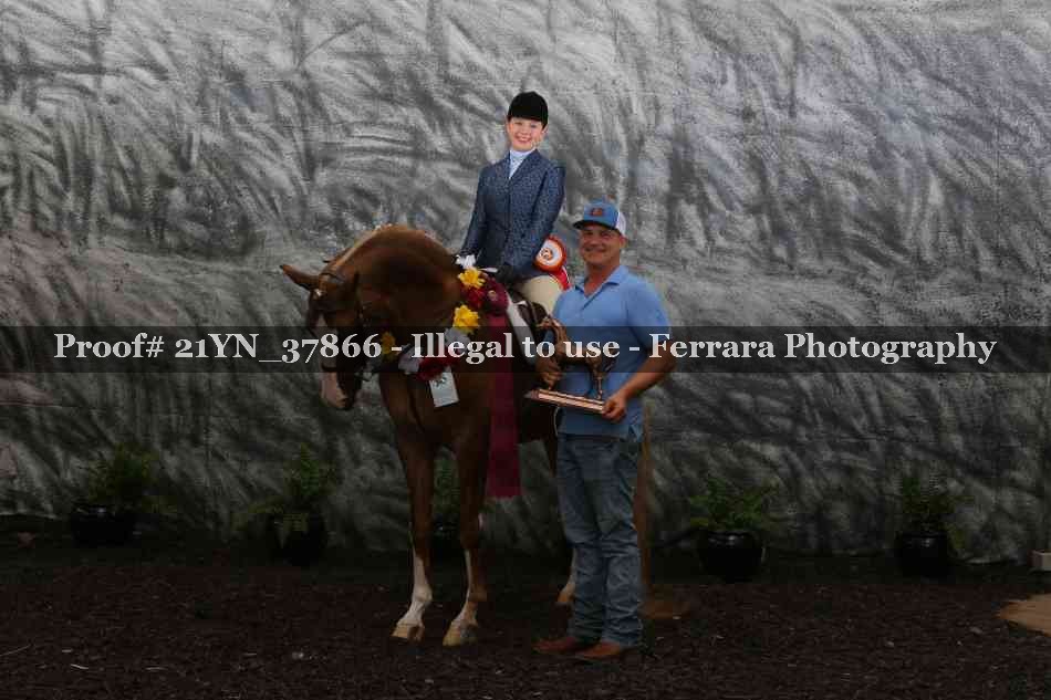 Proof Number 21YN_37866