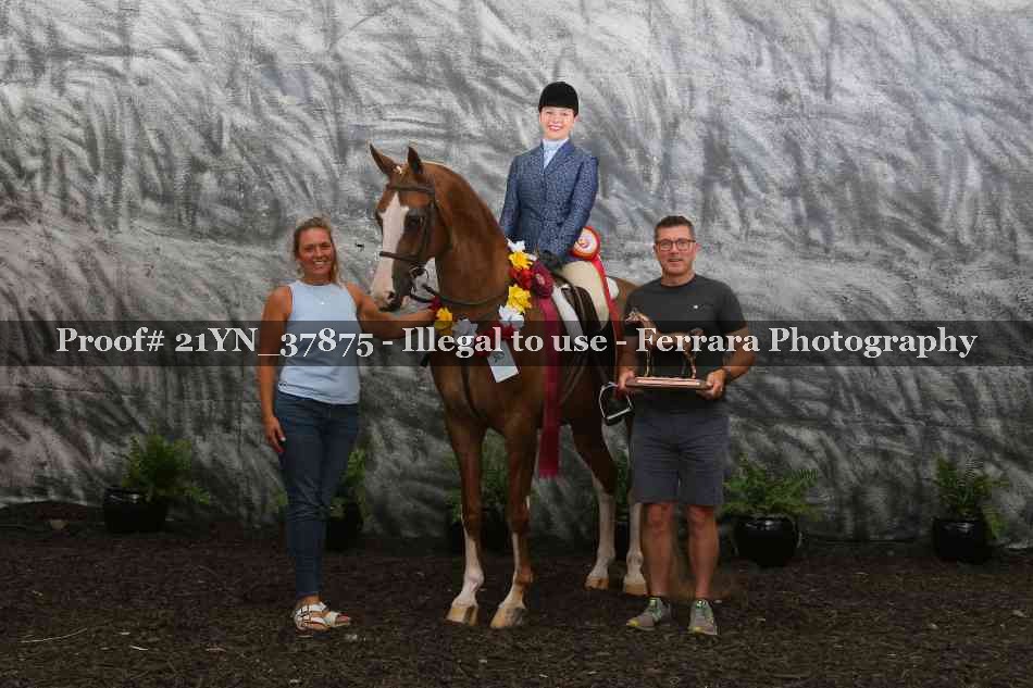 Proof Number 21YN_37875
