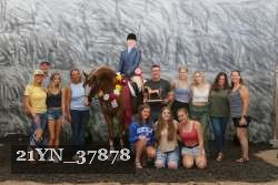 21YN_37878 thumbnail