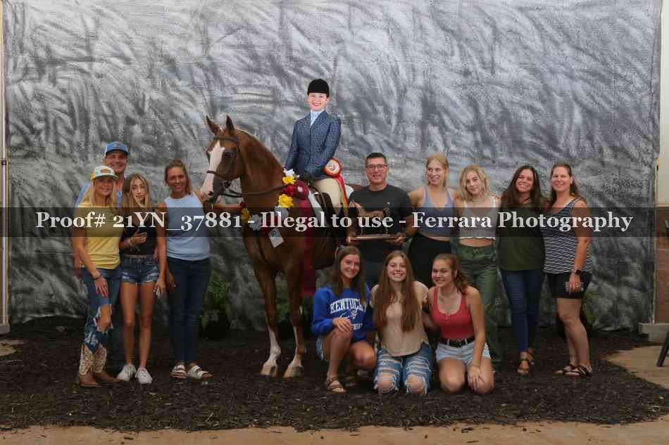 Proof Number 21YN_37881