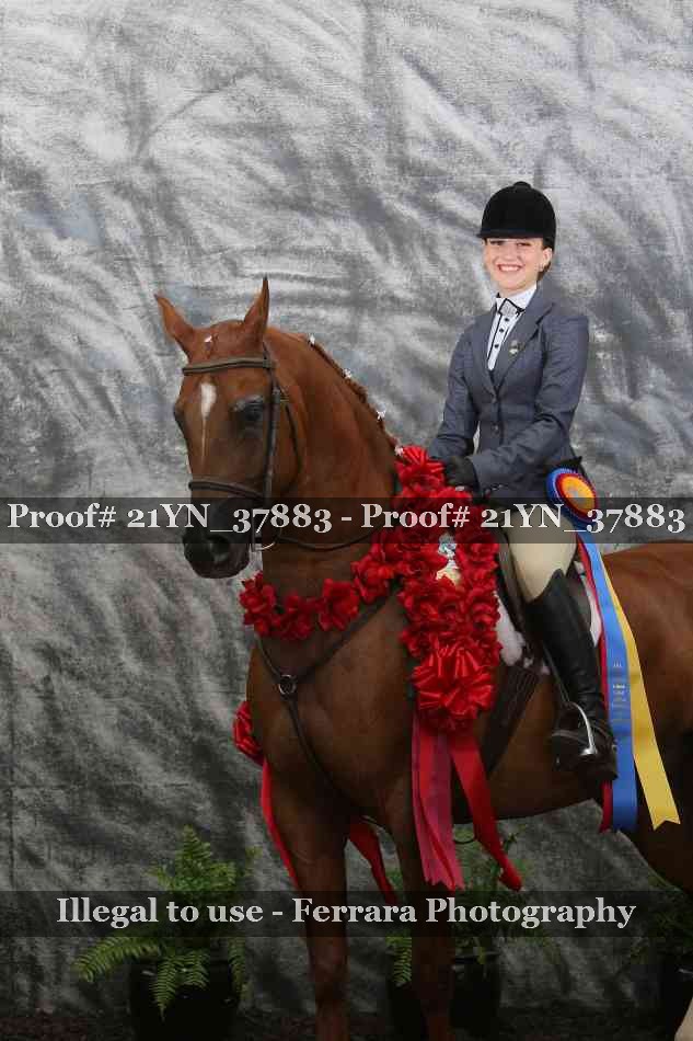 Proof Number 21YN_37883