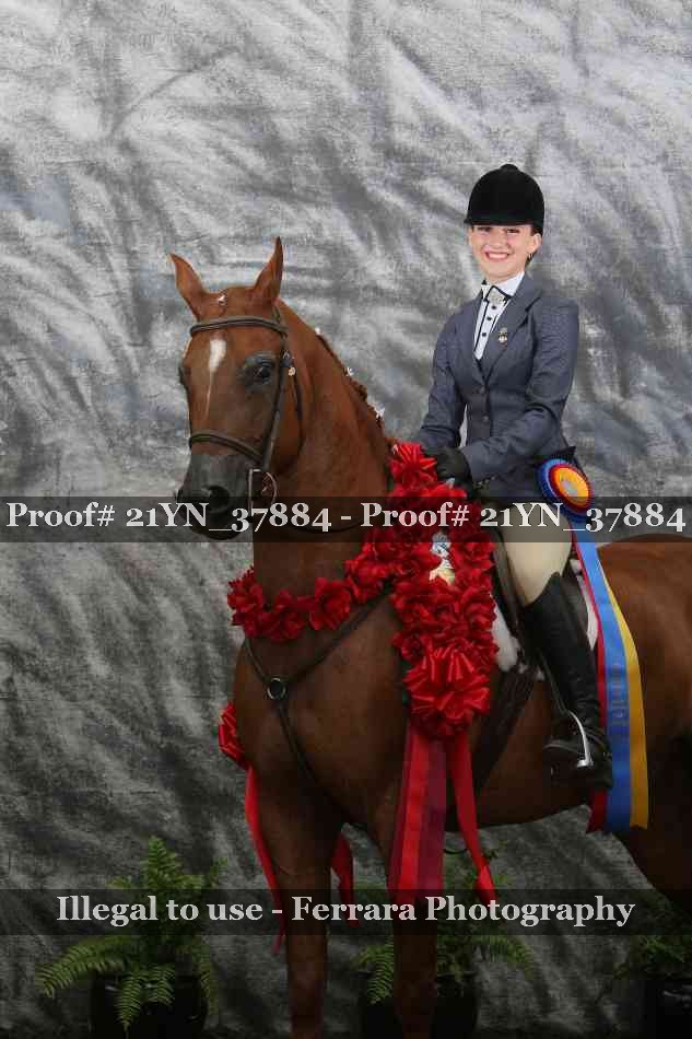 Proof Number 21YN_37884