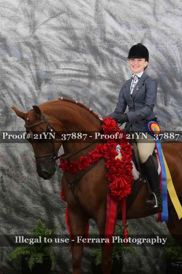 Proof Number 21YN_37887