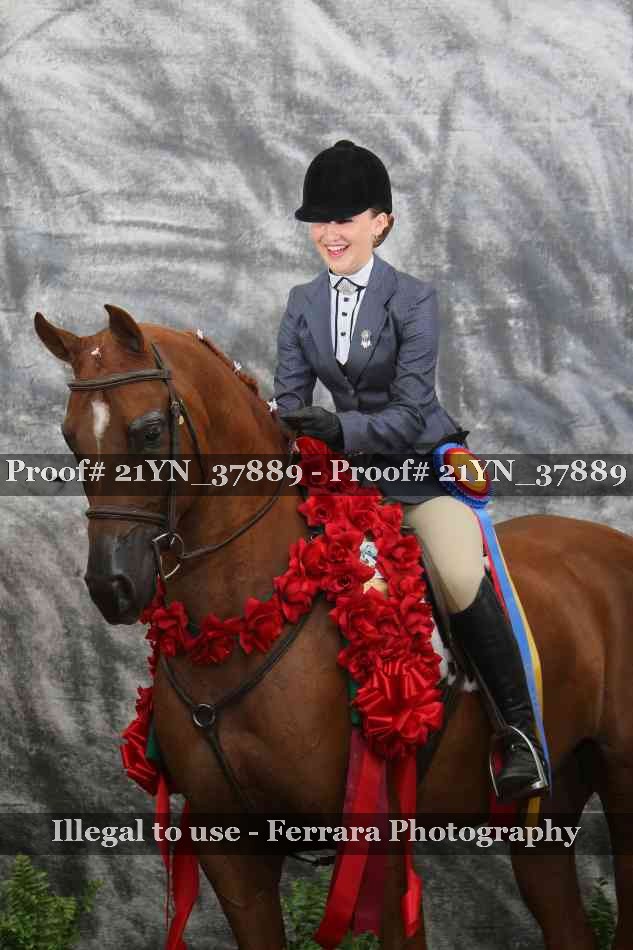 Proof Number 21YN_37889