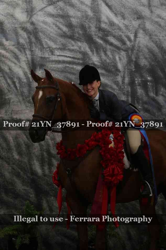 Proof Number 21YN_37891