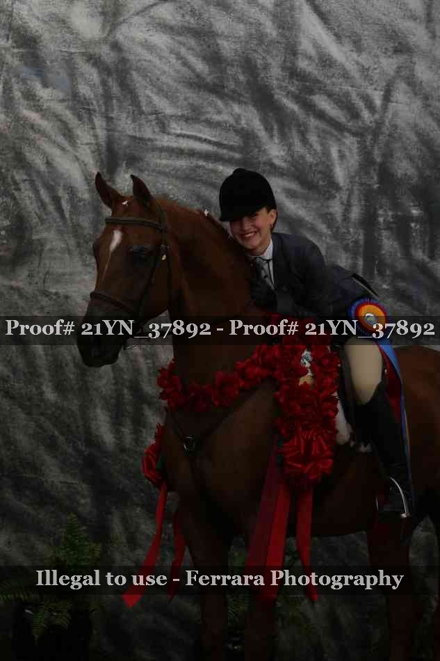 Proof Number 21YN_37892