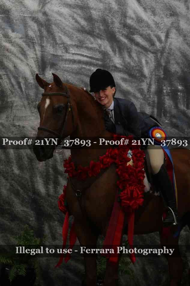 Proof Number 21YN_37893