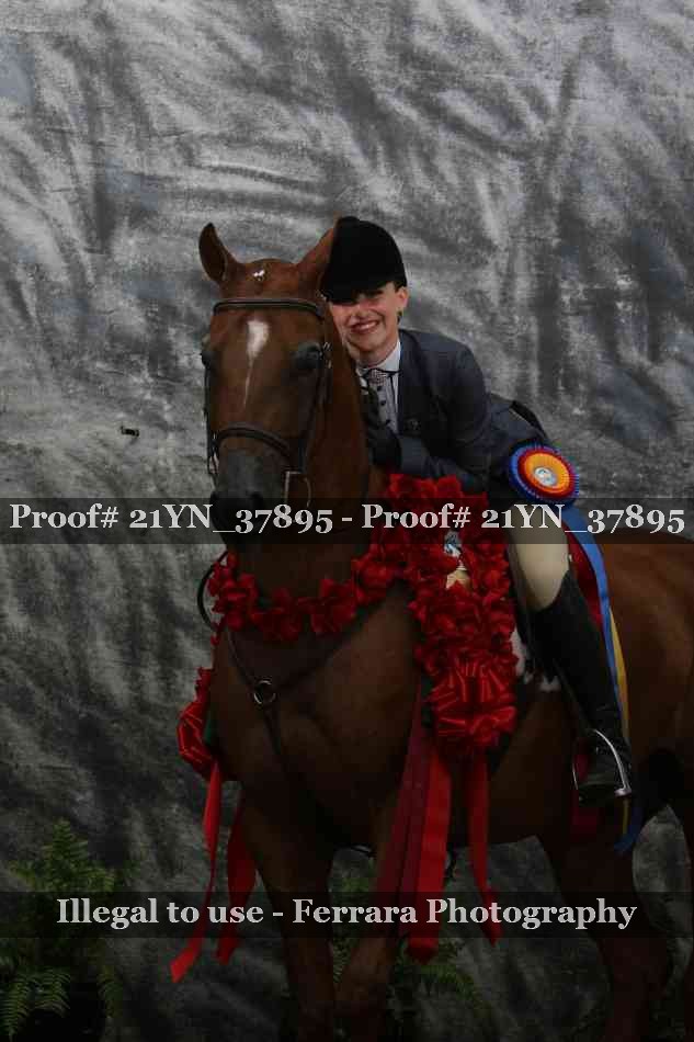 Proof Number 21YN_37895