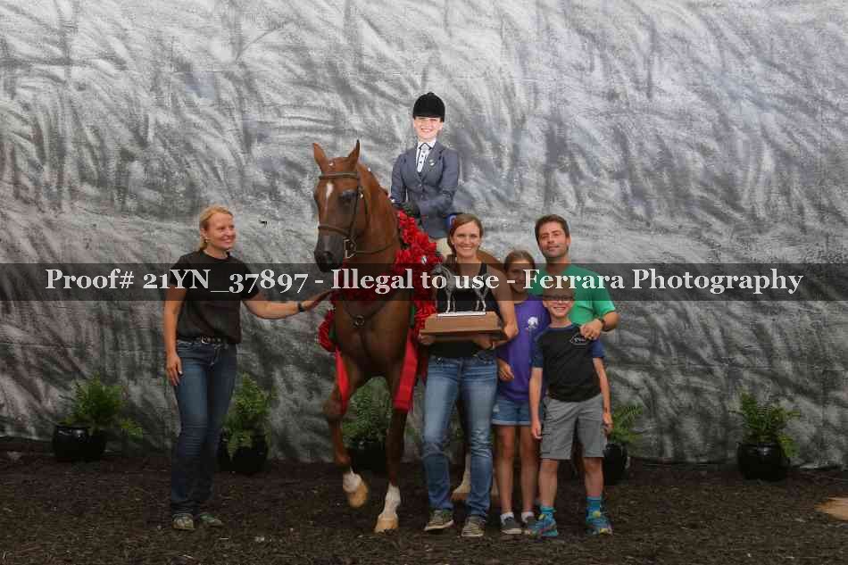Proof Number 21YN_37897