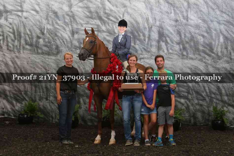Proof Number 21YN_37903