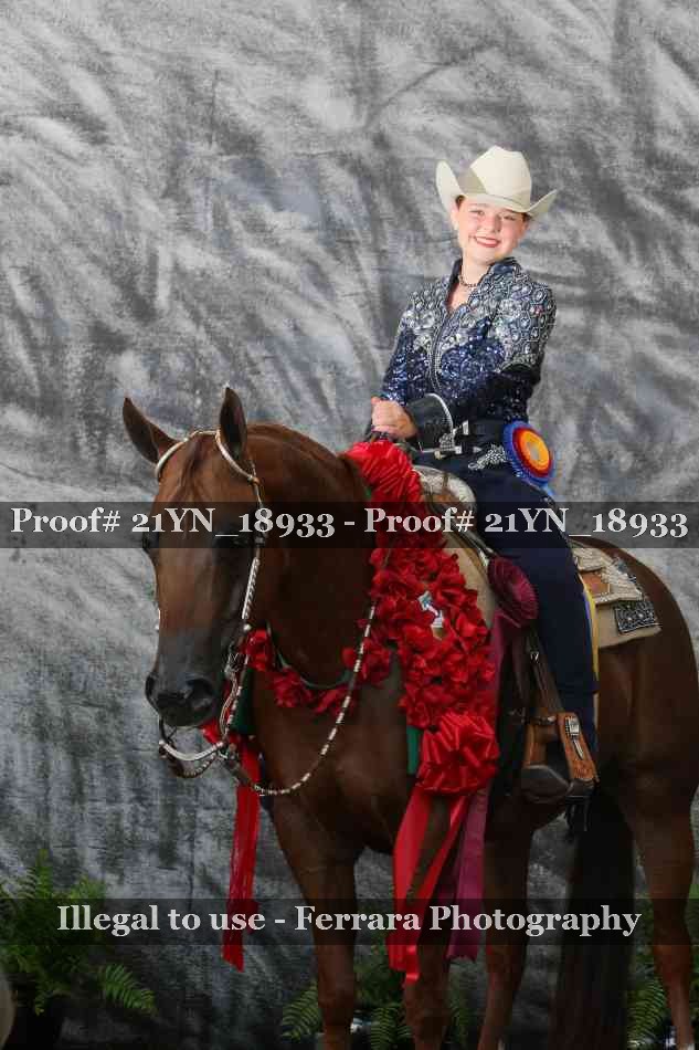 Proof Number 21YN_18933
