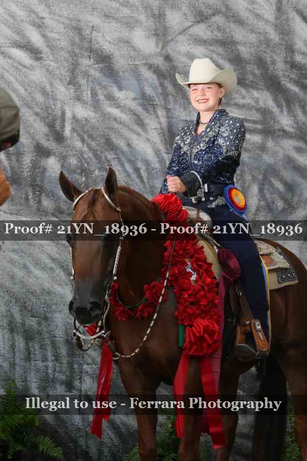 Proof Number 21YN_18936