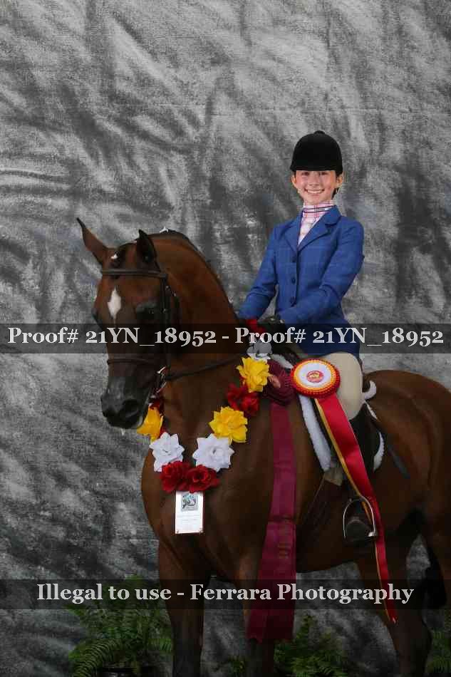 Proof Number 21YN_18952