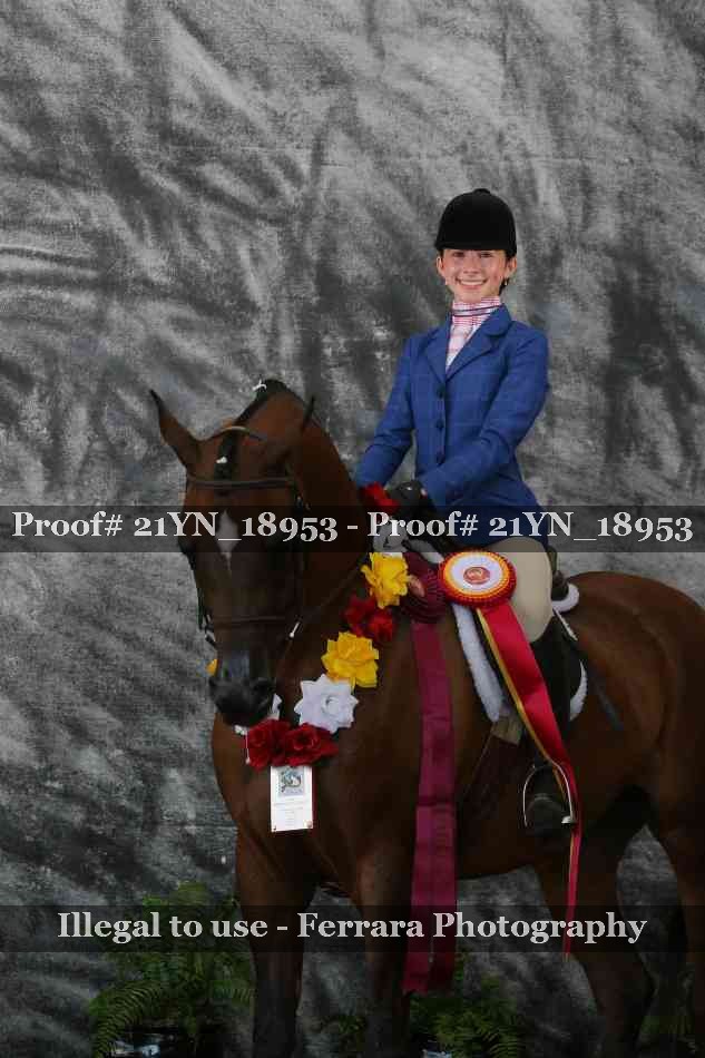 Proof Number 21YN_18953