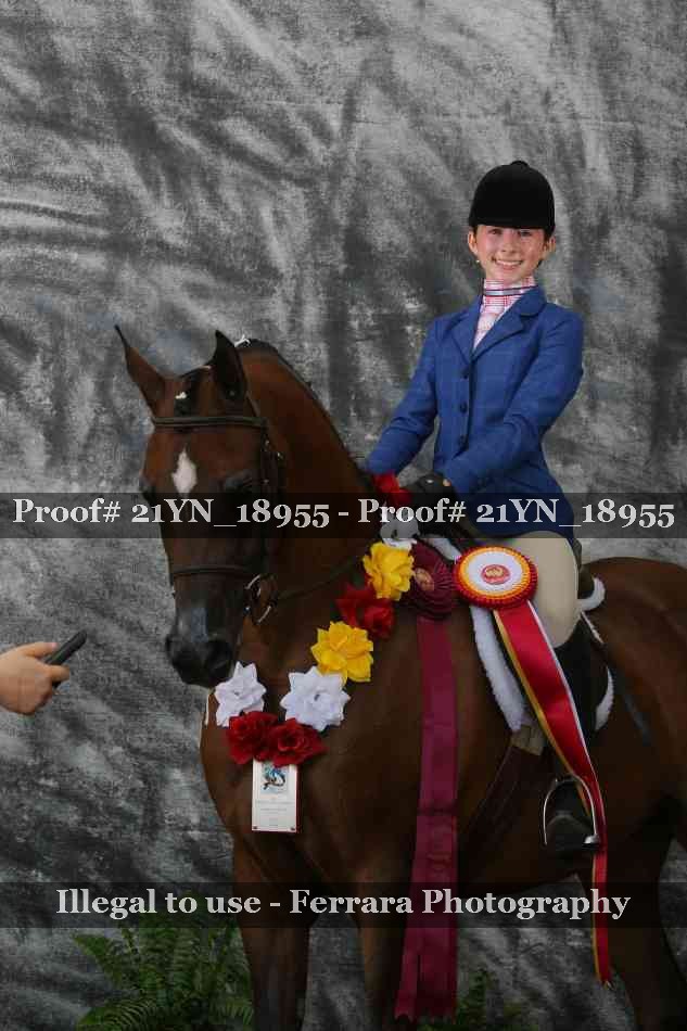 Proof Number 21YN_18955