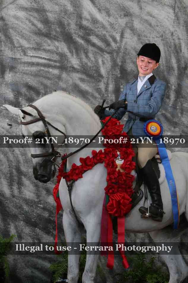 Proof Number 21YN_18970