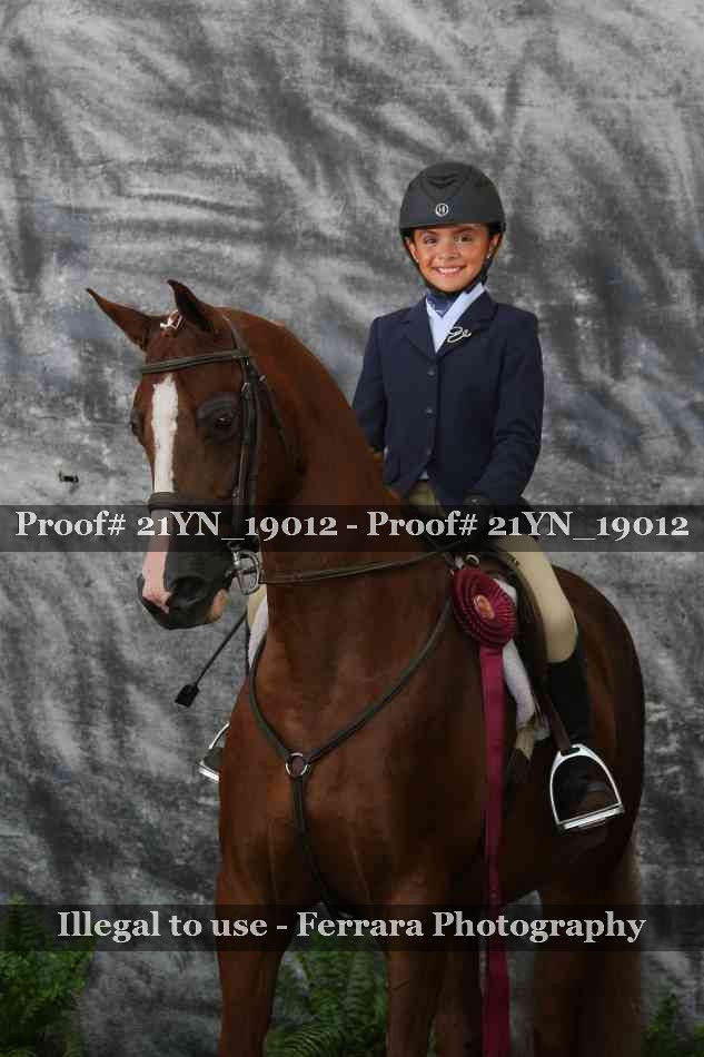 Proof Number 21YN_19012