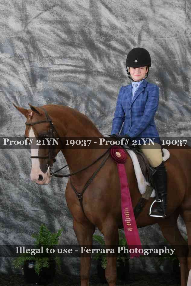 Proof Number 21YN_19037