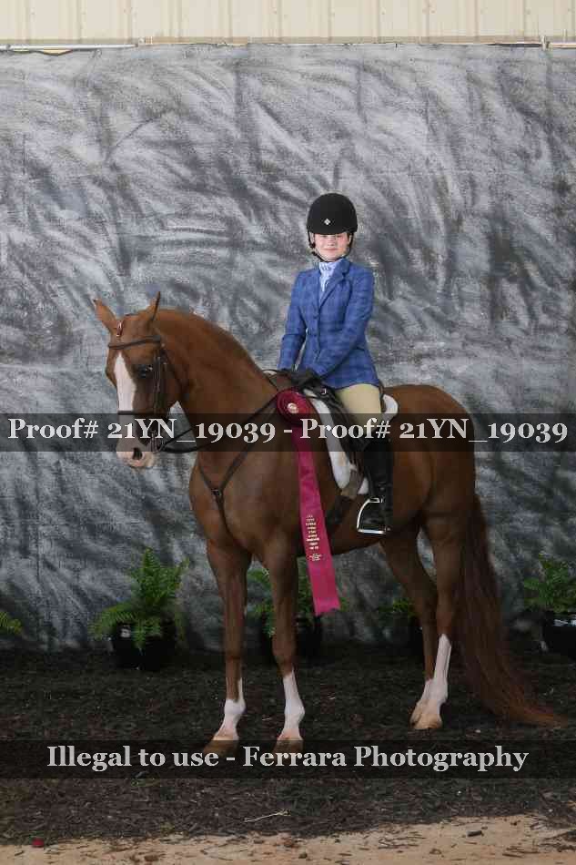 Proof Number 21YN_19039