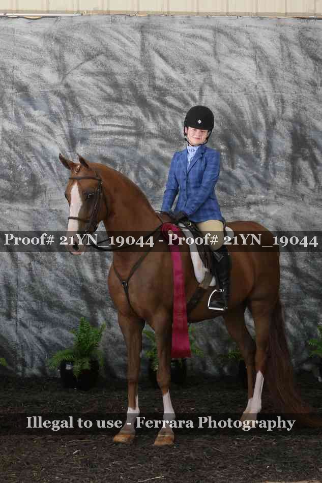 Proof Number 21YN_19044