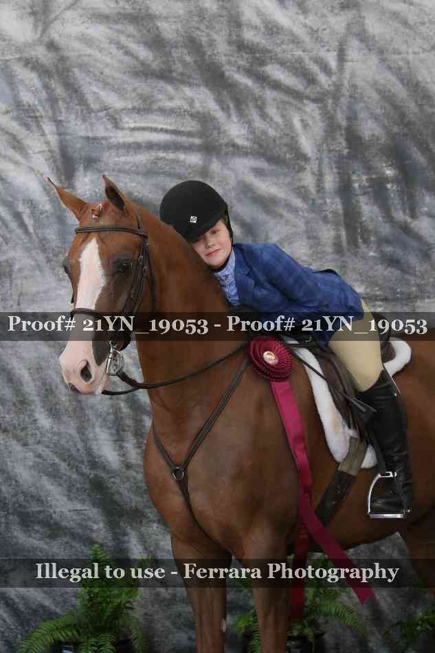 Proof Number 21YN_19053