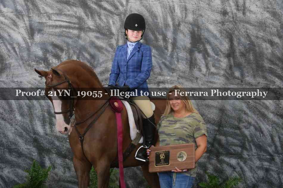 Proof Number 21YN_19055