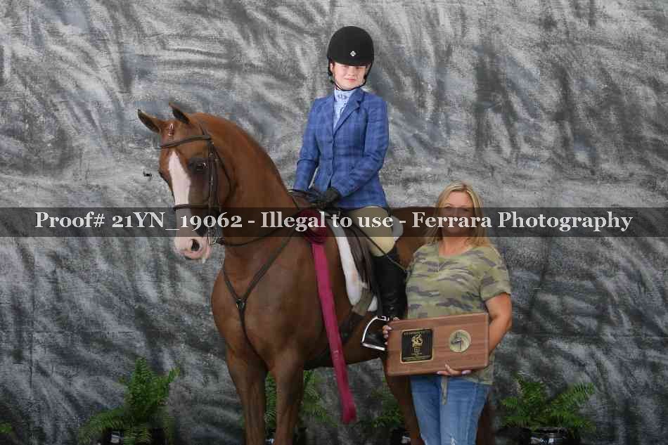 Proof Number 21YN_19062