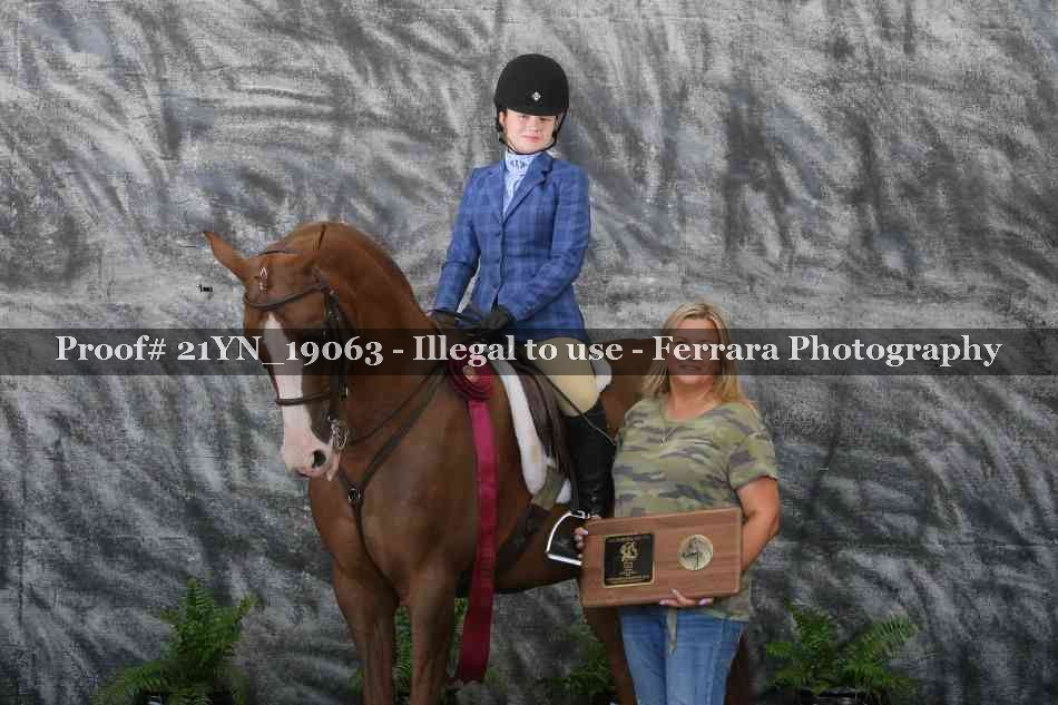 Proof Number 21YN_19063