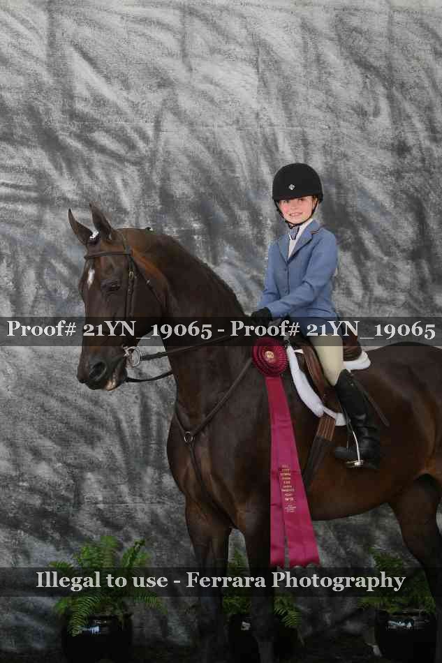 Proof Number 21YN_19065