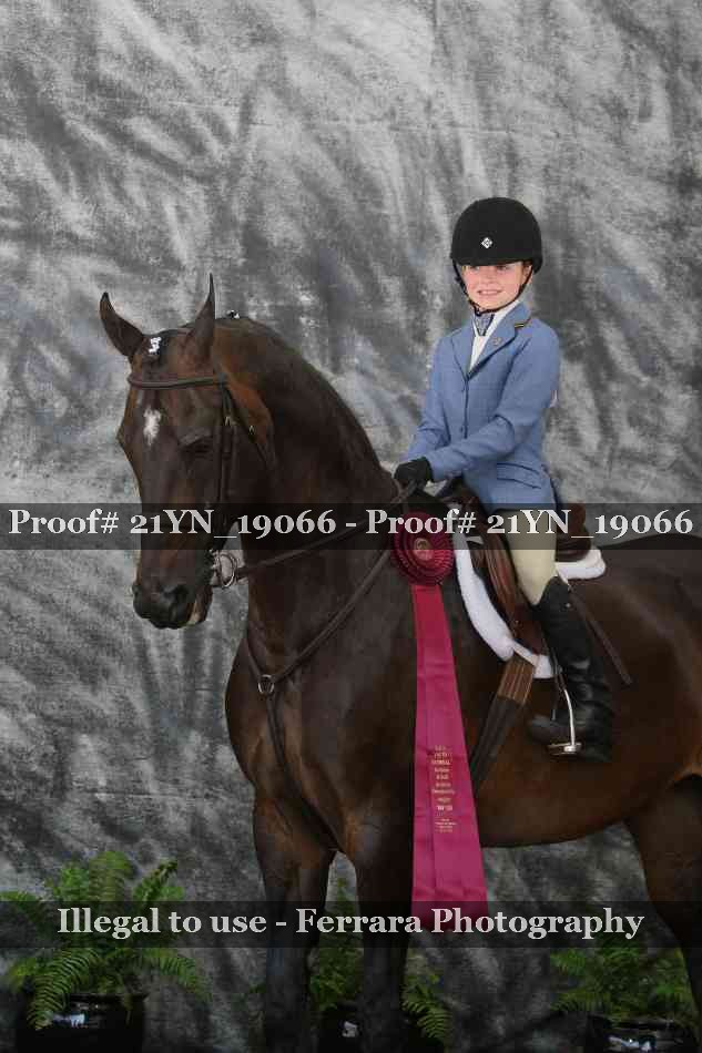 Proof Number 21YN_19066