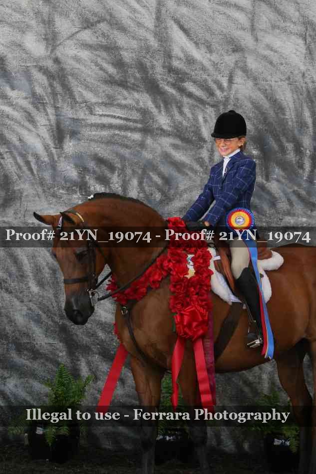 Proof Number 21YN_19074