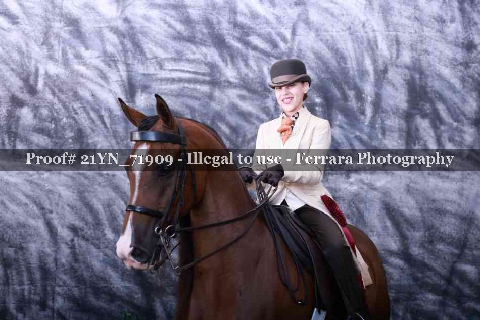 Proof Number 21YN_71909
