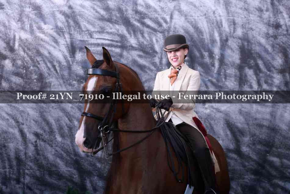 Proof Number 21YN_71910