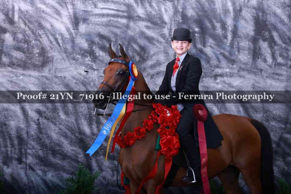 Proof Number 21YN_71916