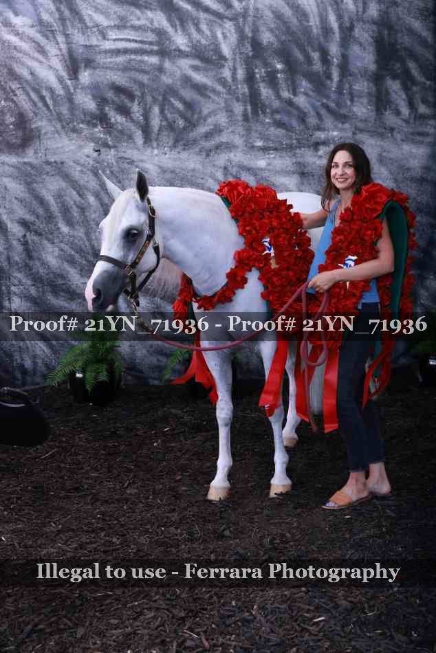 Proof Number 21YN_71936