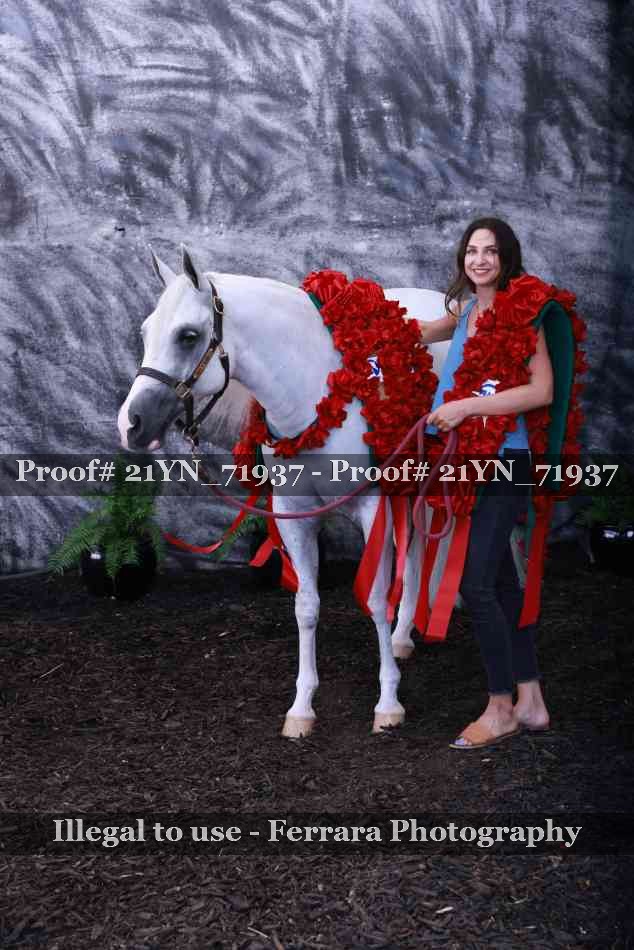 Proof Number 21YN_71937