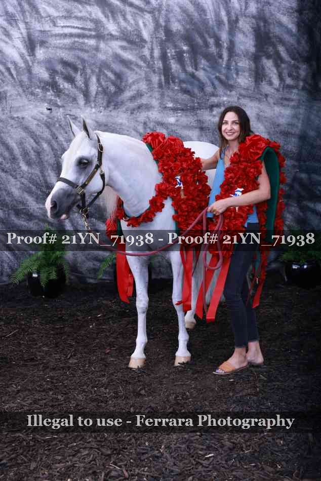 Proof Number 21YN_71938