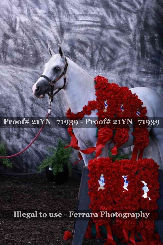 Proof Number 21YN_71939
