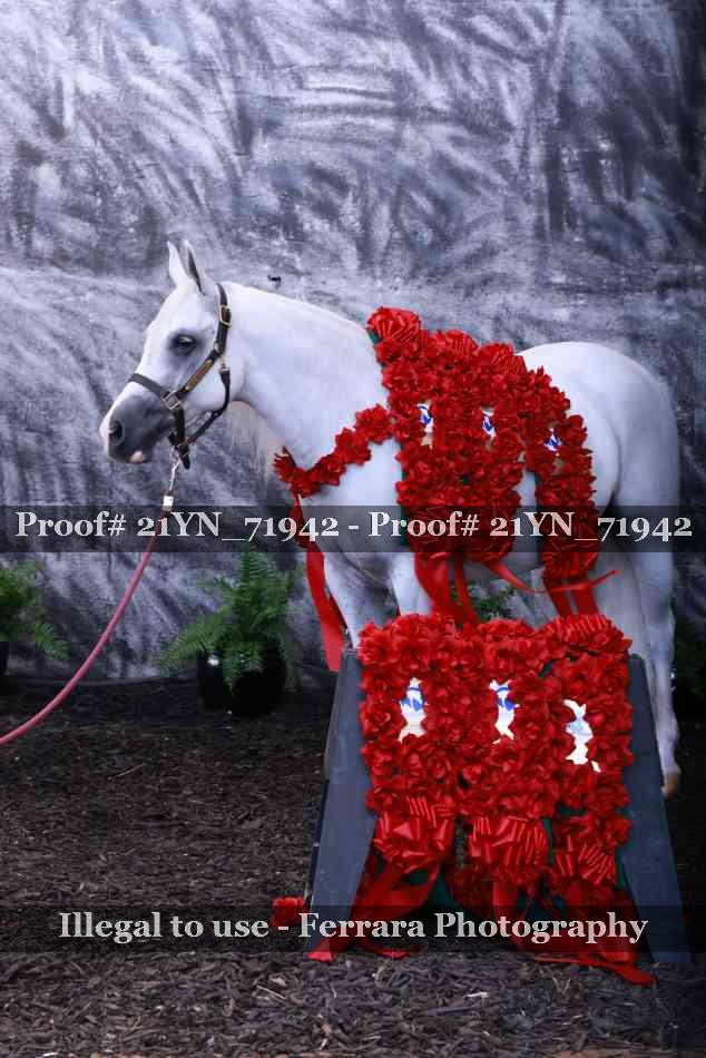 Proof Number 21YN_71942