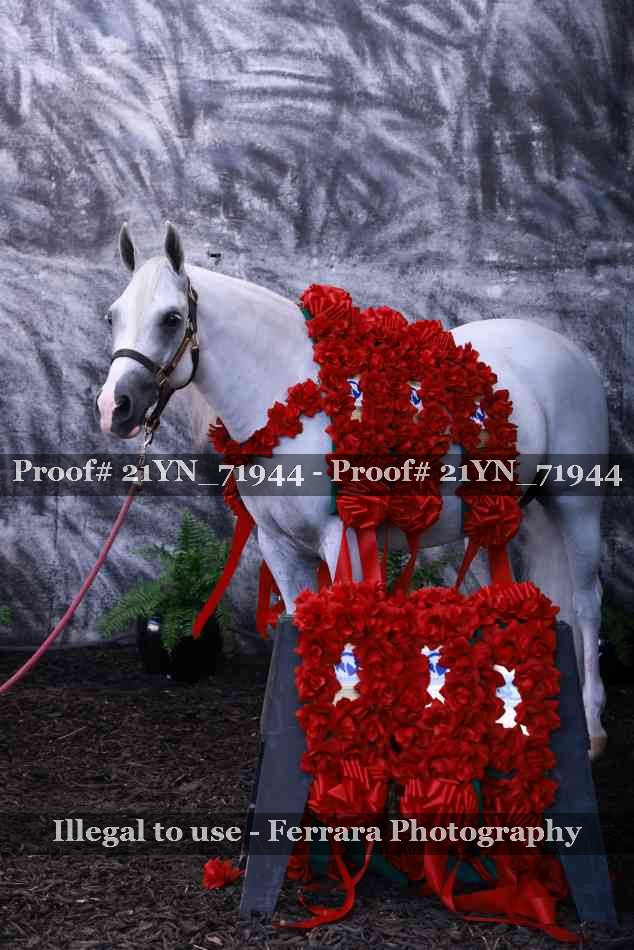 Proof Number 21YN_71944