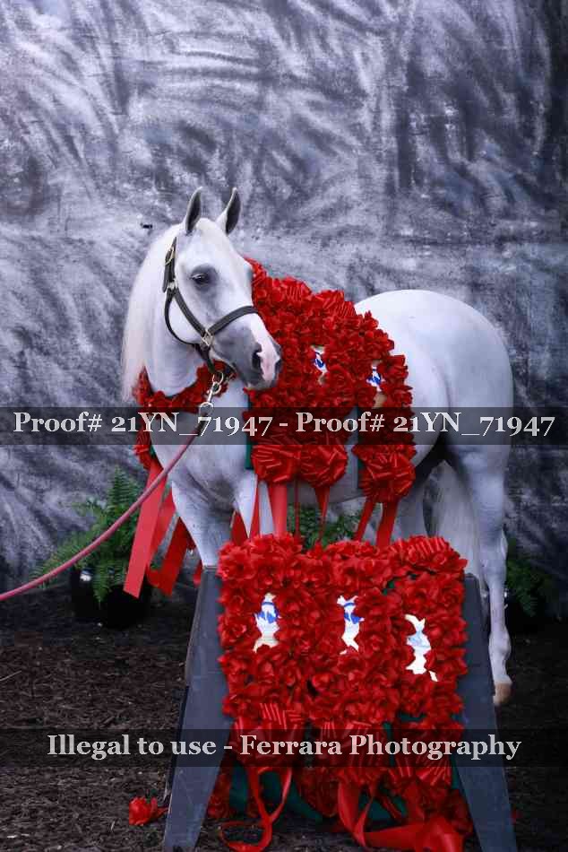 Proof Number 21YN_71947