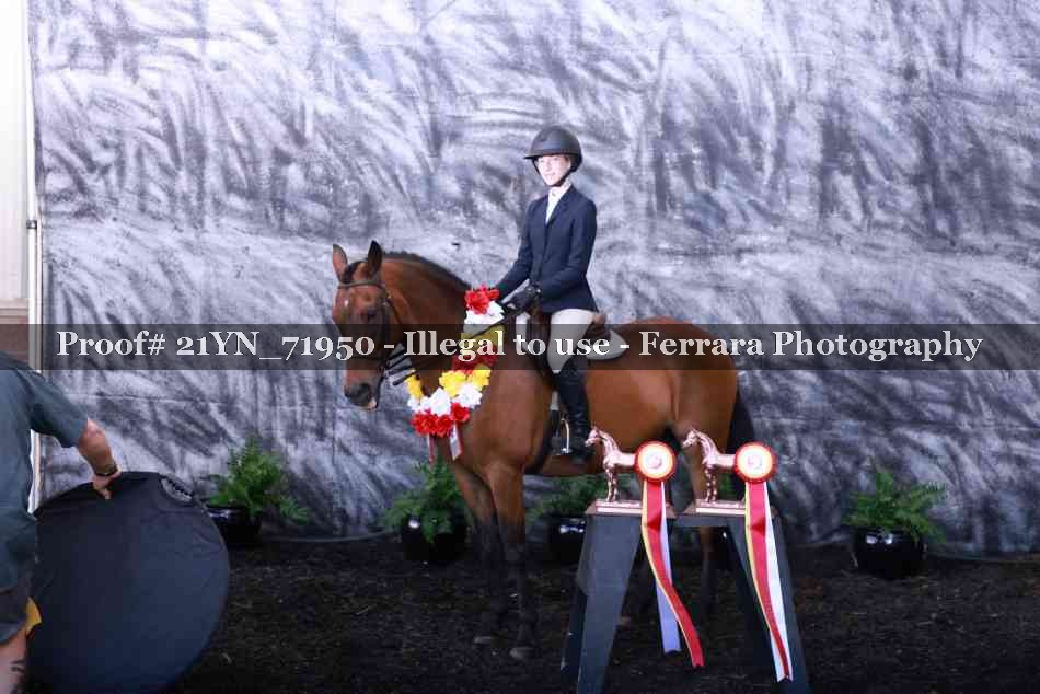 Proof Number 21YN_71950