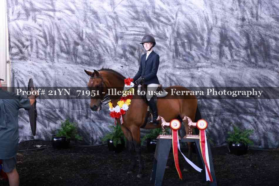Proof Number 21YN_71951