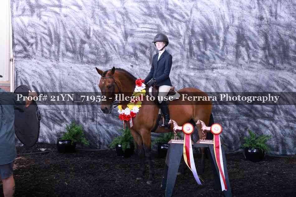 Proof Number 21YN_71952