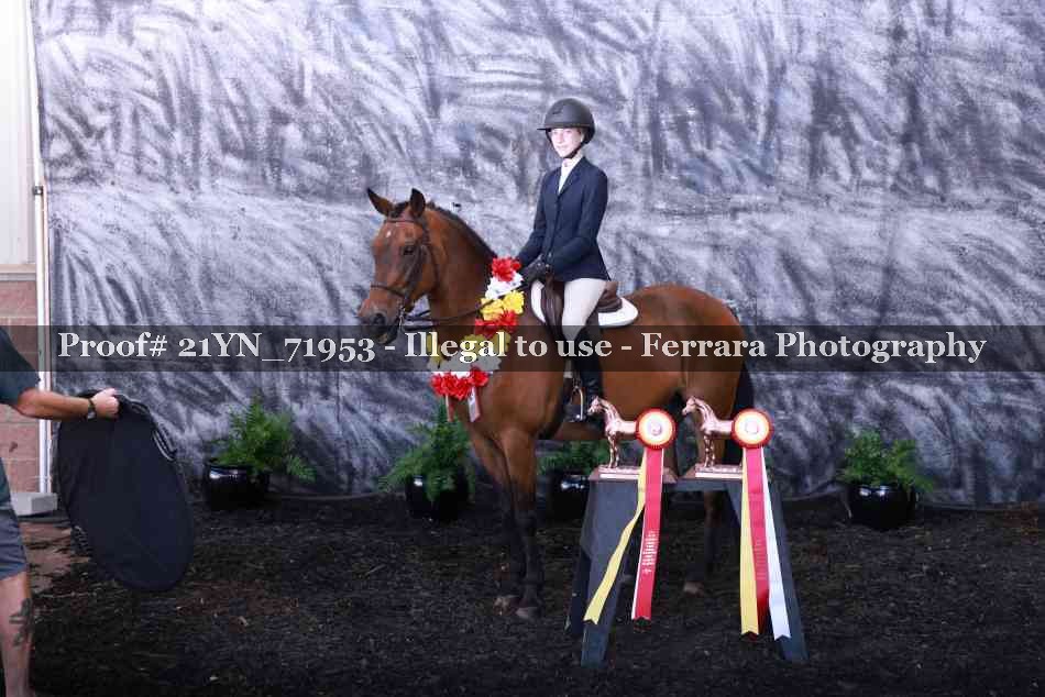 Proof Number 21YN_71953