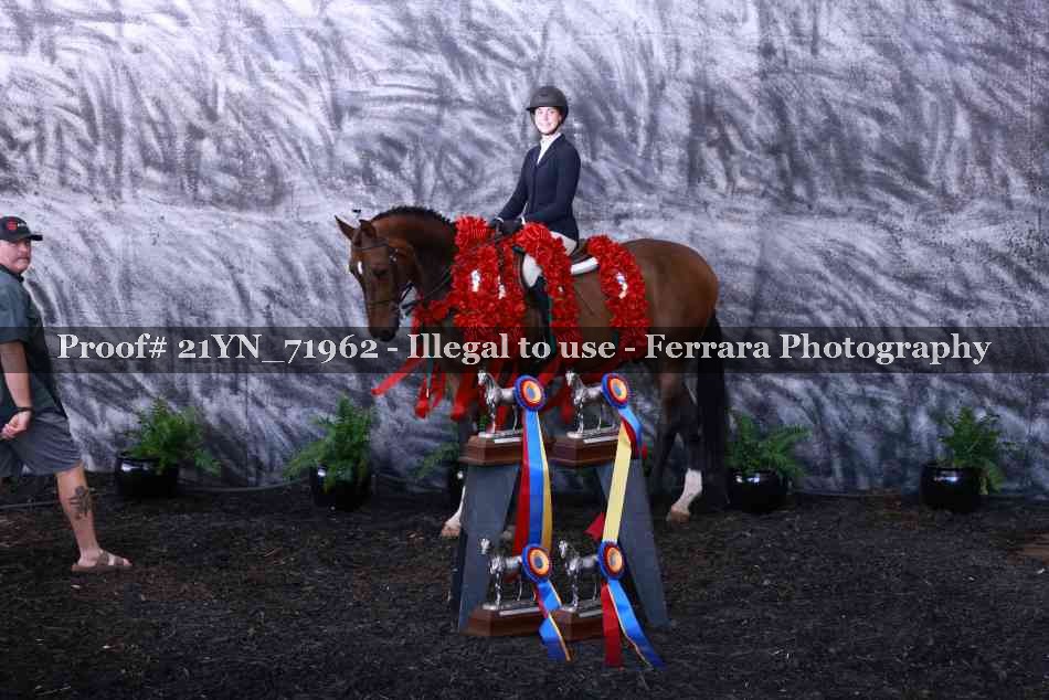 Proof Number 21YN_71962