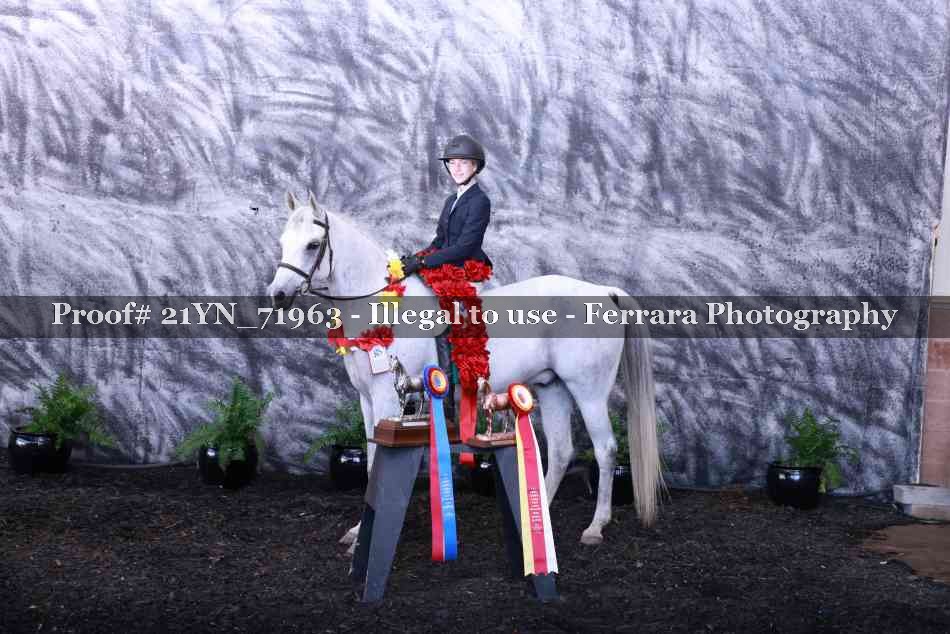 Proof Number 21YN_71963