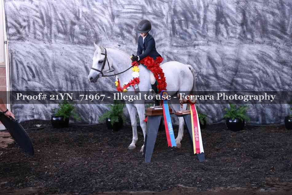 Proof Number 21YN_71967