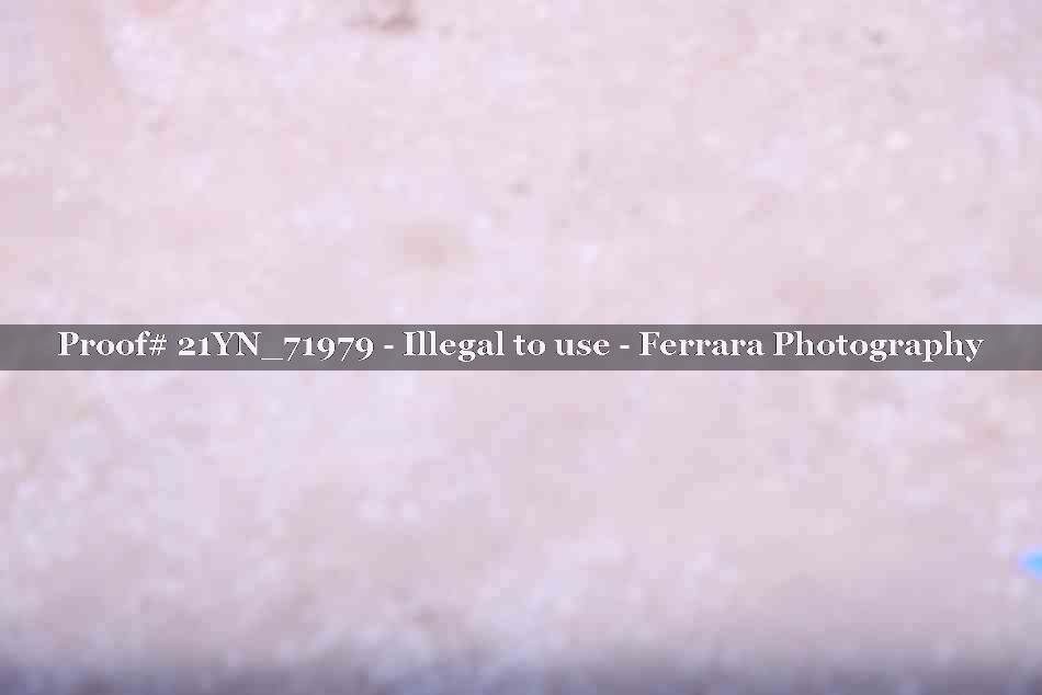 Proof Number 21YN_71979