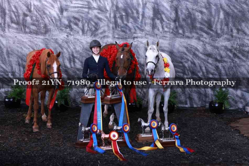 Proof Number 21YN_71980